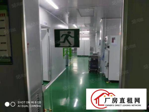  龙华大浪新出楼上带精装修办公室400平有电梯适合办公电商培训