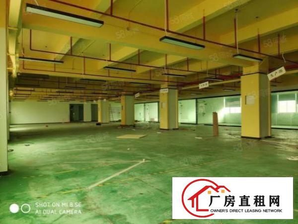  龙华大浪花园式园区180~1500平厂房仓库出租原房东
