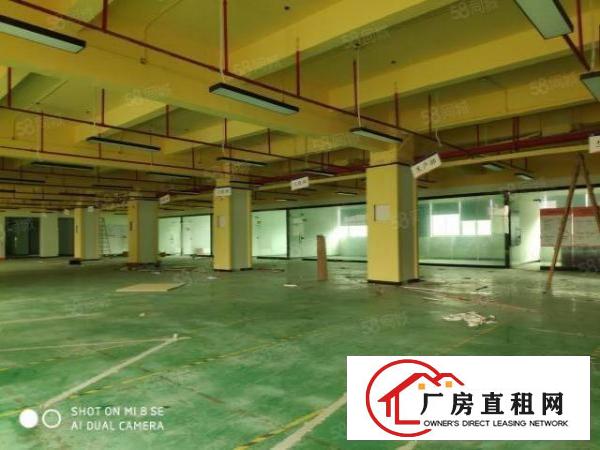  龙华大浪花园式园区180~1500平厂房仓库出租原房东
