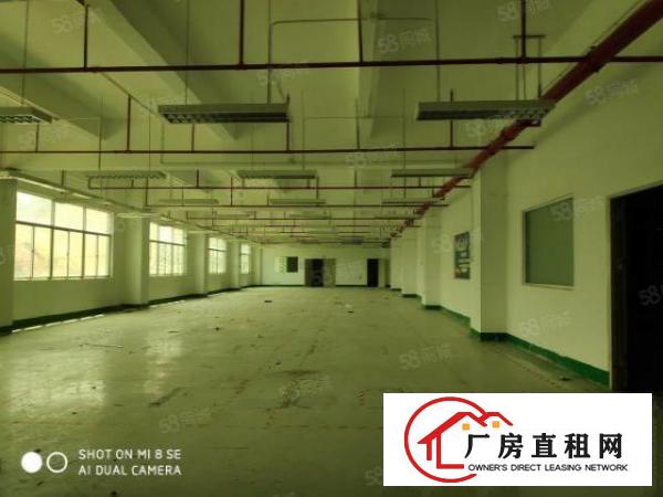  龙华大浪花园式园区180~1500平厂房仓库出租原房东