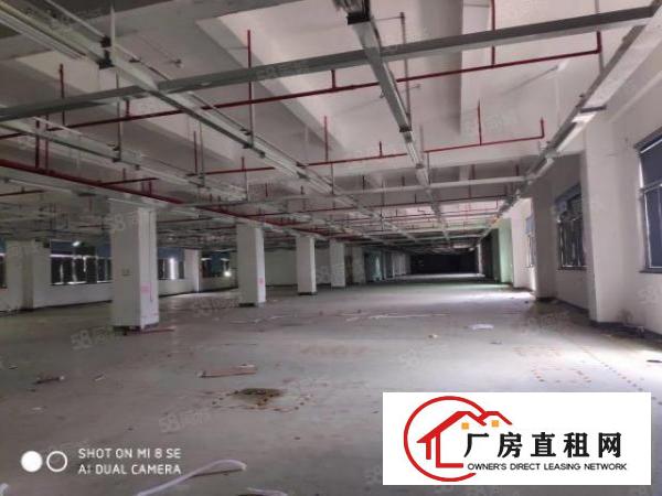  龙华大浪花园式园区180~1500平厂房仓库出租原房东