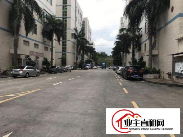  龙华布龙路元芬村一楼600招租