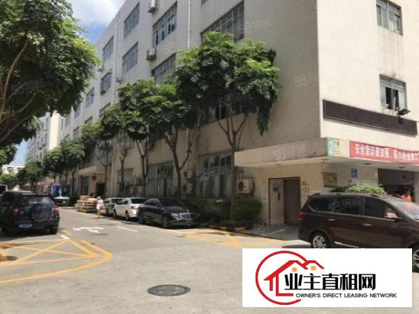  龙华布龙路元芬村一楼600招租