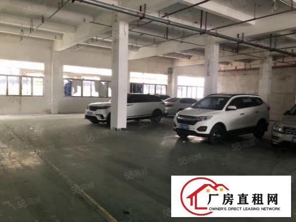  龙华大浪南路一楼厂房700平招租，租金20元