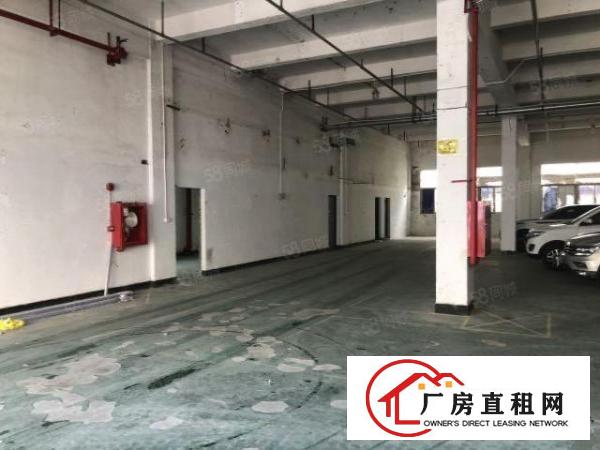  龙华大浪南路一楼厂房700平招租，租金20元