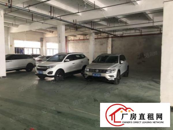  龙华大浪南路一楼厂房700平招租，租金20元