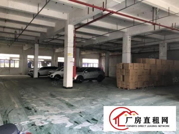  龙华大浪南路一楼厂房700平招租，租金20元