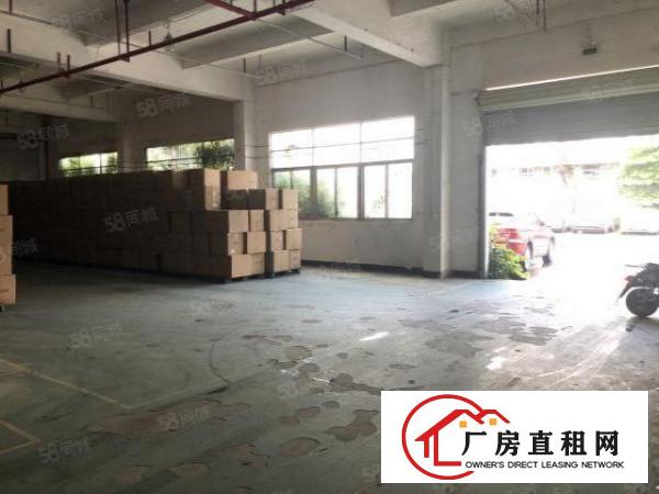  龙华大浪南路一楼厂房700平招租，租金20元
