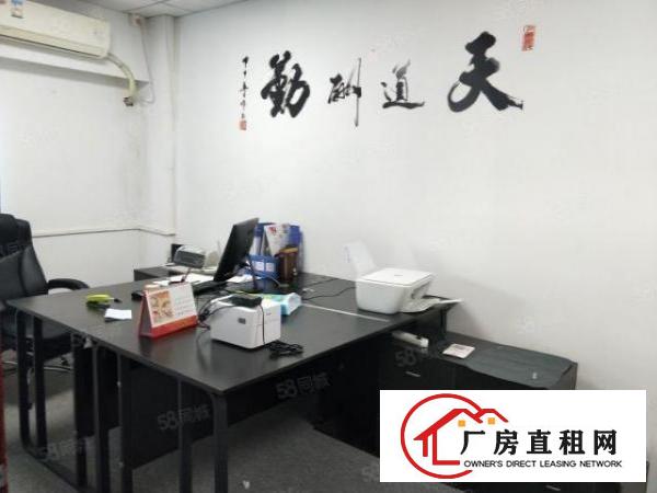  大浪商业中心附近全新创意园带精装100平起招租