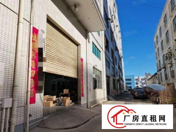  龙华大浪鹊山路口附近一楼480平精装厂房出租。
