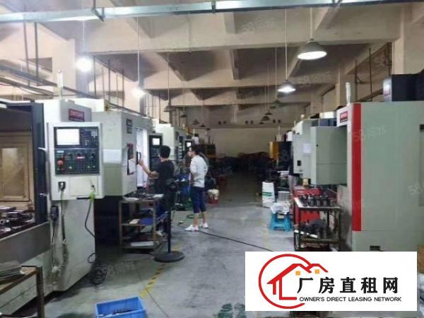  大浪商业中心精装修厂332平