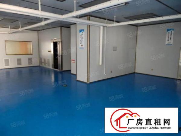  龙华大浪北路沿线3楼900平无尘车间精装厂房出租。