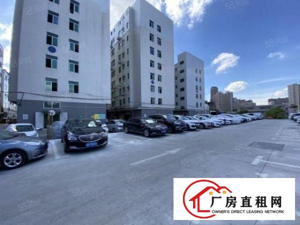  出租龙华大浪新出800平方精装修厂房适合办公贸易仓库等
