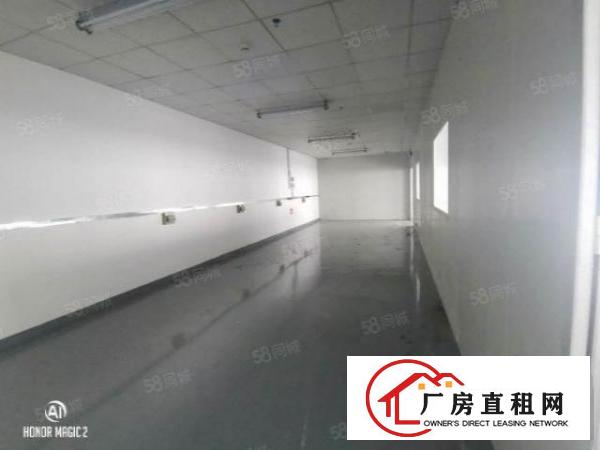  大浪商业中心附近新出楼上红本层厂房原房东出租整层1755平方