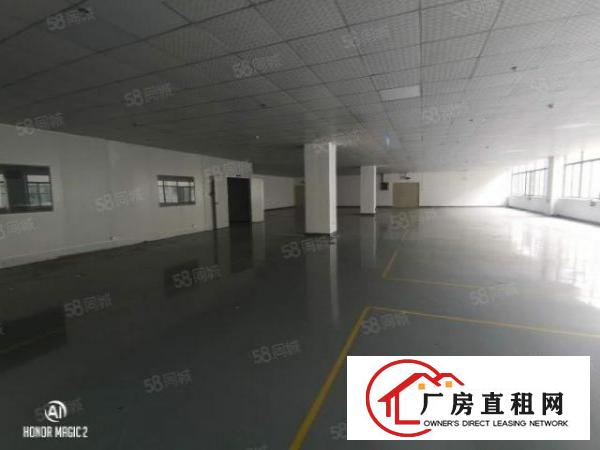  大浪商业中心附近新出楼上红本层厂房原房东出租整层1755平方