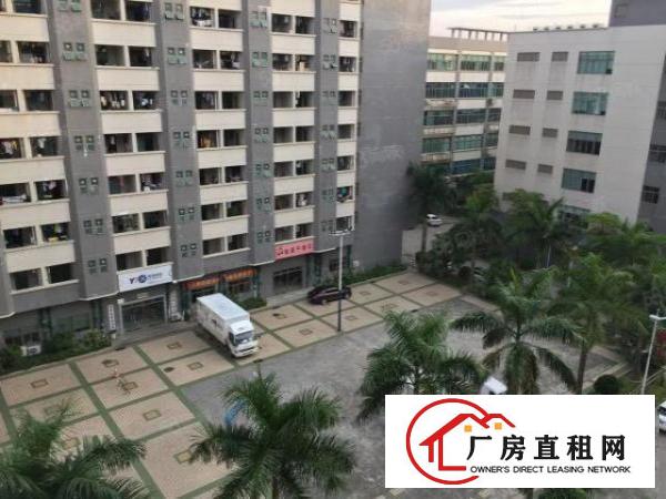  龙华红本厂房带装修1200平方