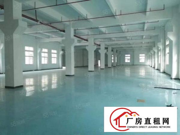  龙华大浪大工业35000平红本厂房大小分租
