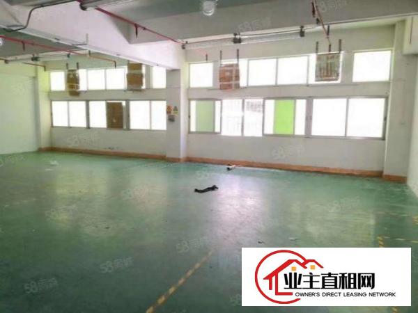  大浪商业中心附近独院5600平厂房出租可分租