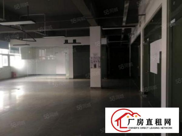  大浪红本大型园区新出花园式厂房新出带豪华装修厂房900平