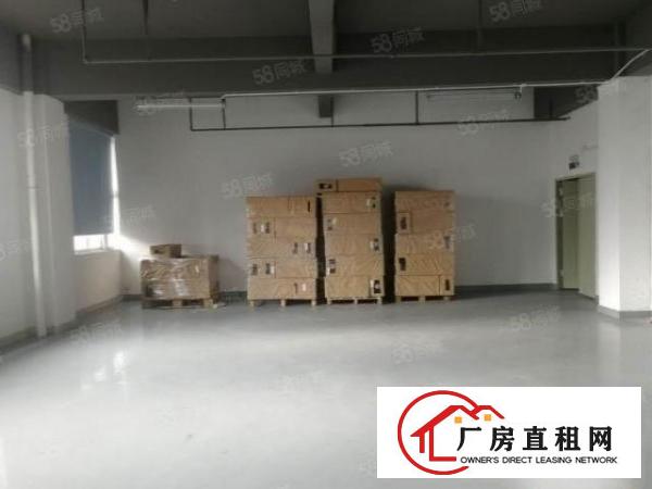  大浪红本大型园区新出花园式厂房新出带豪华装修厂房900平