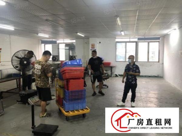  大浪华霆路水围新出450平米带装修家具空调厂房出租