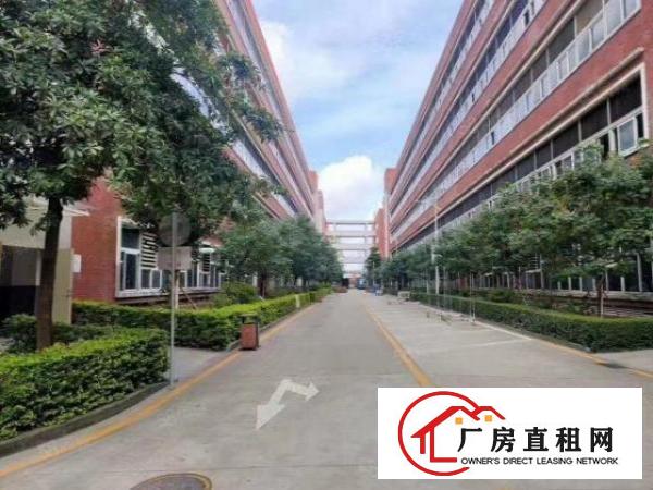  大浪原房东厂房一栋8400平方共4层，现成装修，空地大