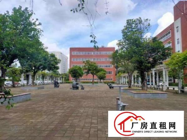 大浪原房东厂房一栋8400平方共4层，现成装修，空地大