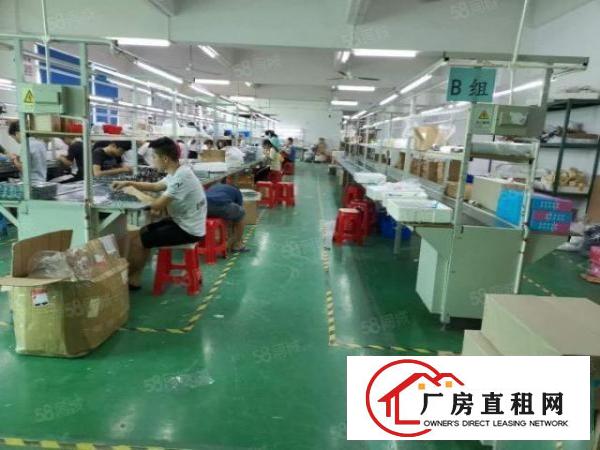  龙华大浪义乌带装修厂房980平出租