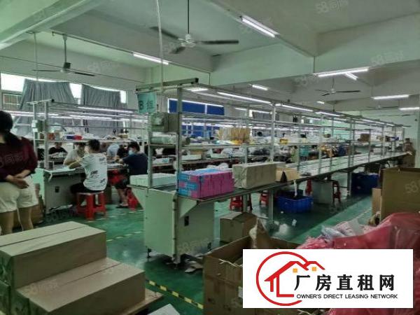  龙华大浪义乌带装修厂房980平出租