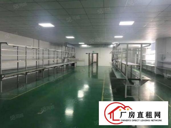  厂房龙华大浪1000平无尘车间精装修单层标准厂房出租