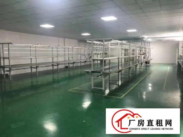  厂房龙华大浪1000平无尘车间精装修单层标准厂房出租