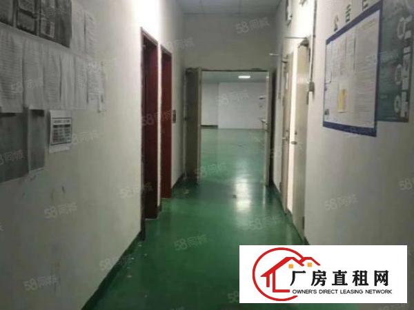  厂房龙华大浪1000平无尘车间精装修单层标准厂房出租