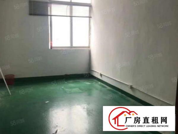  厂房龙华大浪1000平无尘车间精装修单层标准厂房出租