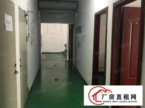  厂房龙华大浪1000平无尘车间精装修单层标准厂房出租
