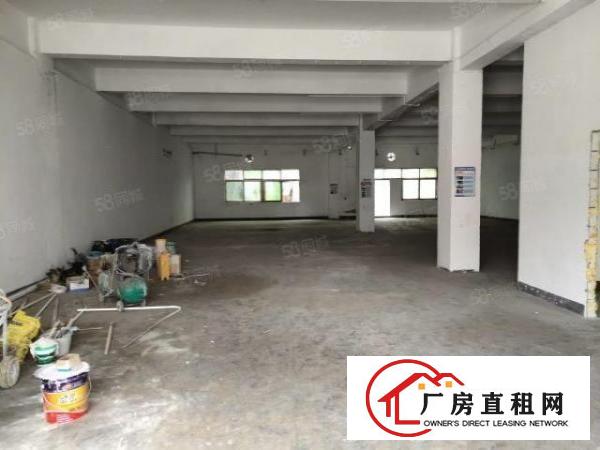 浪口工业区新出一楼厂房出租整层精装修1350平方水电齐全