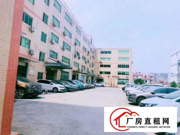  大浪石观工业区一楼230平