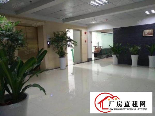  大浪石观工业区一楼230平
