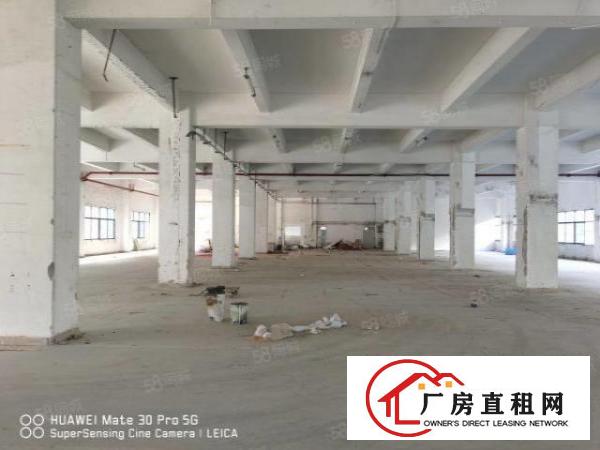  龙华大浪高新产业园独门独院6482平方厂房出租