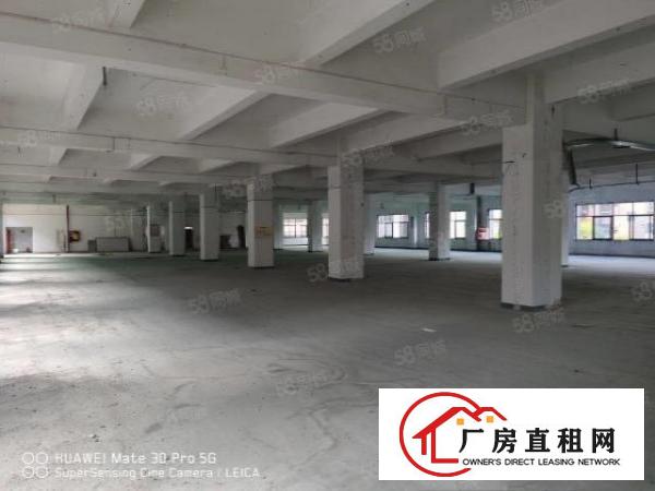  龙华大浪高新产业园独门独院6482平方厂房出租