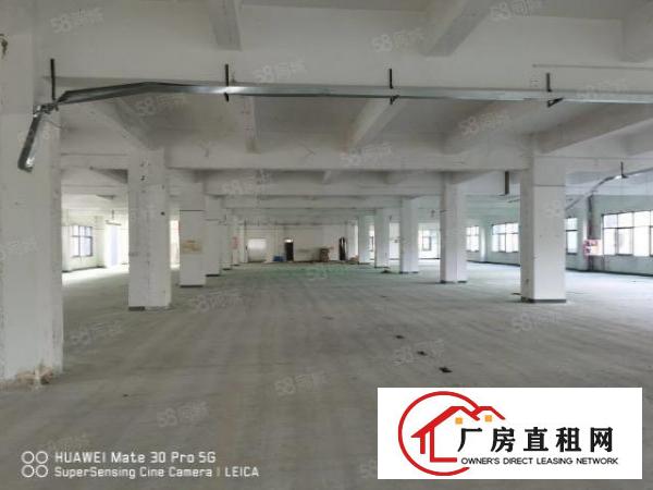  龙华大浪高新产业园独门独院6482平方厂房出租