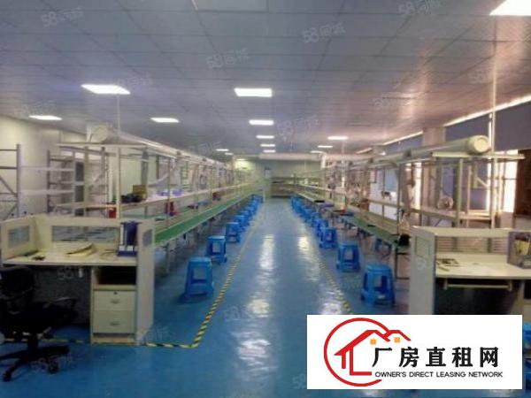  龙华独门独院厂房出租