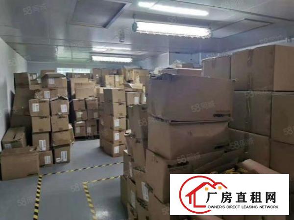  大浪商业中心附近原房东新出整层1380平豪华装修带无尘车间