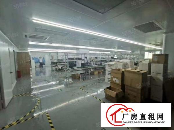  大浪商业中心附近原房东新出整层1380平豪华装修带无尘车间