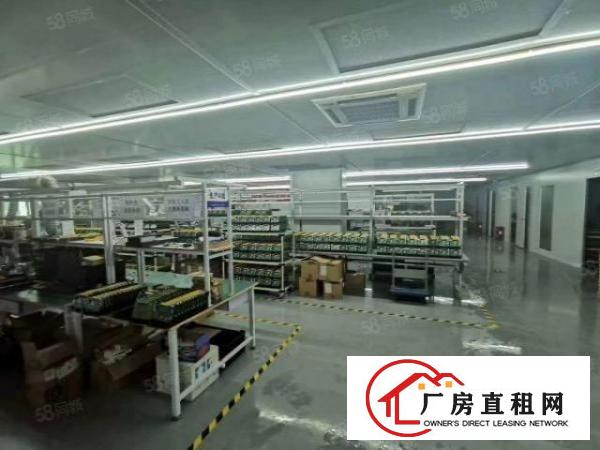  大浪商业中心附近原房东新出整层1380平豪华装修带无尘车间