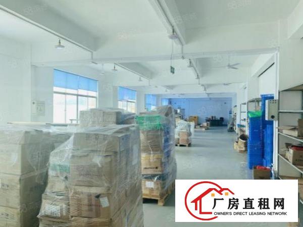  观澜松元新出楼上720平，精装修厂房，无转让费。