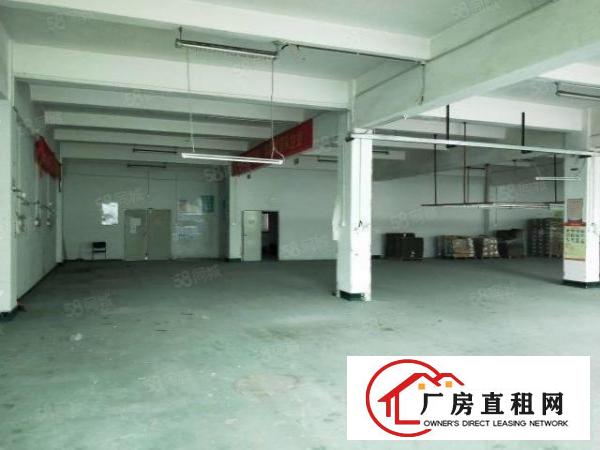  花园式厂房3楼1500平带精装修水电齐全可直接使用
