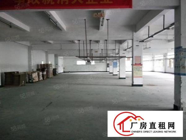  花园式厂房3楼1500平带精装修水电齐全可直接使用