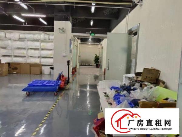  大浪商业中心新出楼上精装修900平