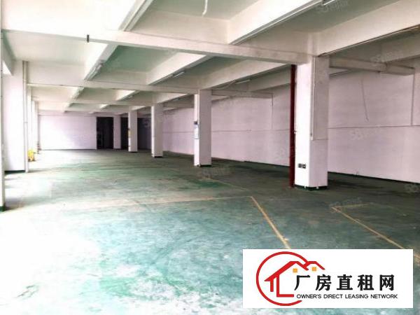 石观工业区楼上1000平22元一平
