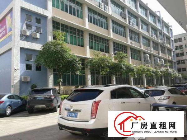  大浪新出精装修380平领包入住电商贸易办公仓库小组装招租